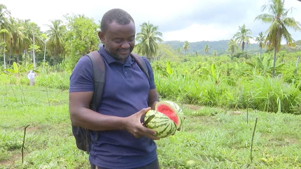 image Vers une intensification de la production des fruits à Mohéli